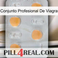 Viagra Professional Set 24